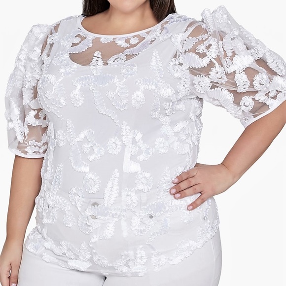 Ashley Stewart Tops | 2x Ashley Stewart White Sheer Mesh Embroidered Top | Poshmark